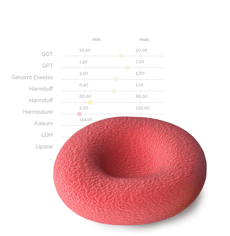 Metabolic Balance Ernährungsplan